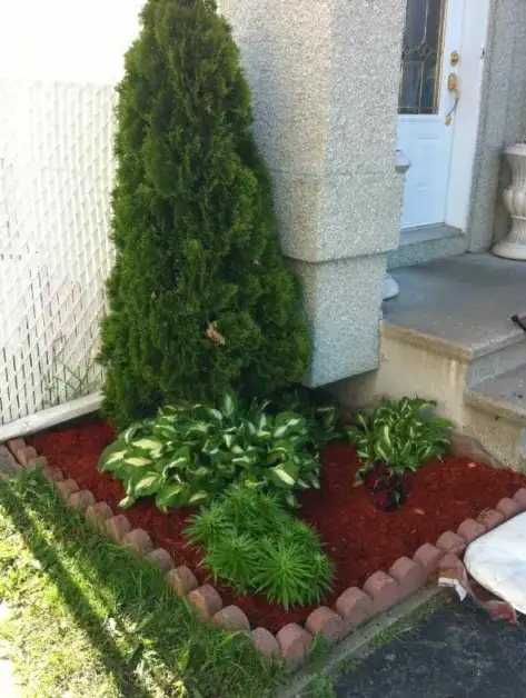 PAYSAGISTE D'EXPÉRIENCE À BON PRIX - Photo 3