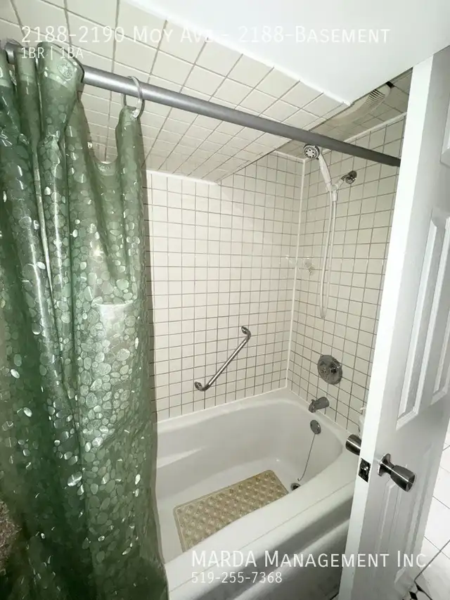 COZY & RENOVATED 1 BED/1 BATH LOWER SOUTH WALKERVILLE - INSCLUVI - Photo 7