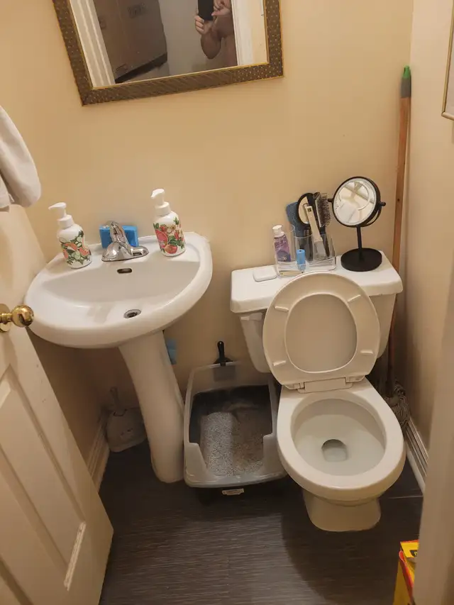 !!!!!   VERY BIG ROOM FOR RENT WOODROFFE & CARLING   !!! - Photo 6