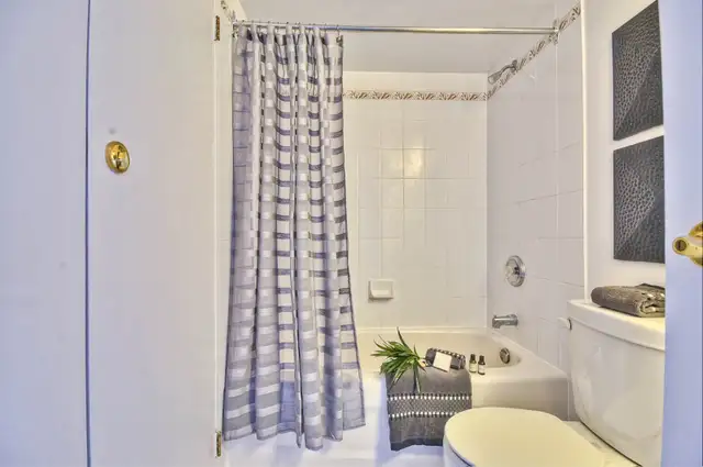 1 Bedroom Rentals in Ottawa's East-End - Photo 4