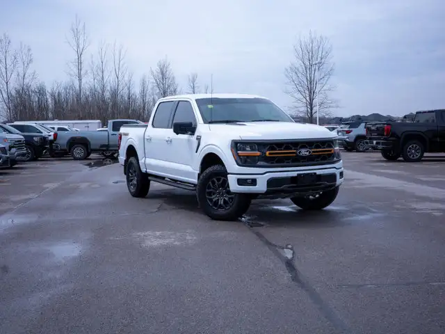 2025 Ford F-150 Tremor - Turn Signal Mirrors | Running Boards - Photo 2