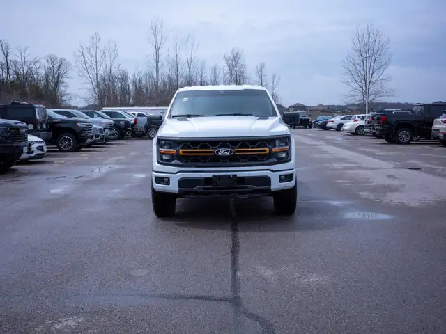 2025 Ford F-150 Tremor - Turn Signal Mirrors | Running Boards - Photo 3