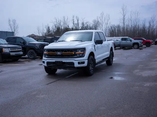 2025 Ford F-150 Tremor - Turn Signal Mirrors | Running Boards - Photo 4