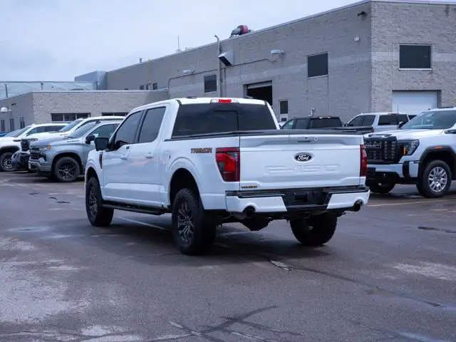 2025 Ford F-150 Tremor - Turn Signal Mirrors | Running Boards - Photo 6