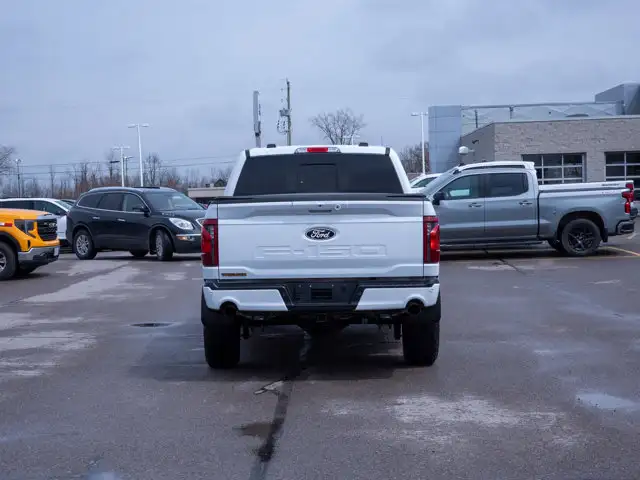 2025 Ford F-150 Tremor - Turn Signal Mirrors | Running Boards - Photo 7