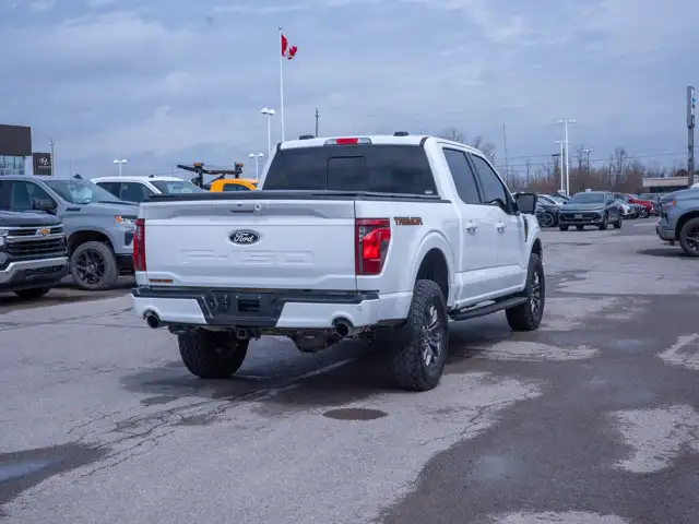 2025 Ford F-150 Tremor - Turn Signal Mirrors | Running Boards - Photo 8