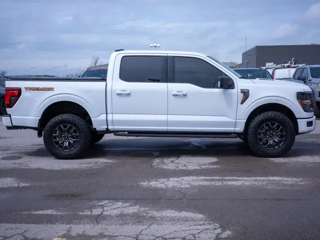 2025 Ford F-150 Tremor - Turn Signal Mirrors | Running Boards - Photo 9