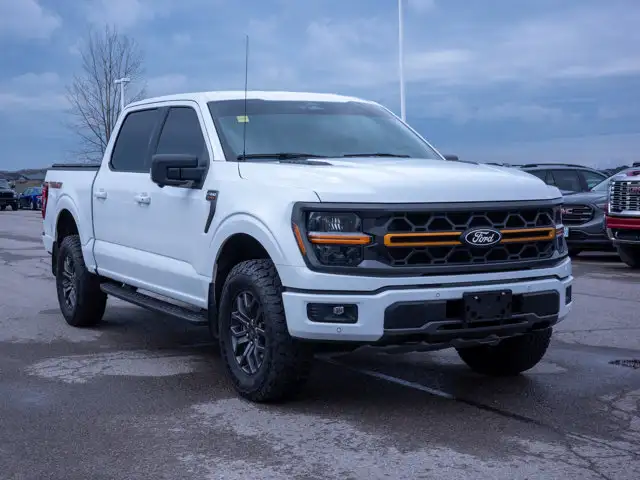 2025 Ford F-150 Tremor - Turn Signal Mirrors | Running Boards - Photo 10