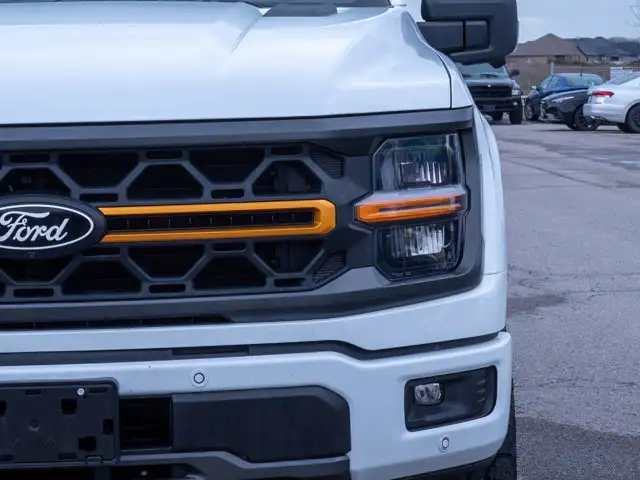 2025 Ford F-150 Tremor - Turn Signal Mirrors | Running Boards - Photo 11
