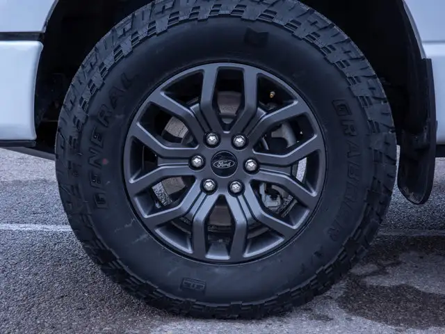 2025 Ford F-150 Tremor - Turn Signal Mirrors | Running Boards - Photo 12