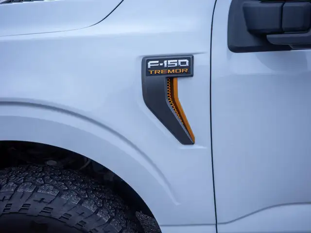 2025 Ford F-150 Tremor - Turn Signal Mirrors | Running Boards - Photo 13