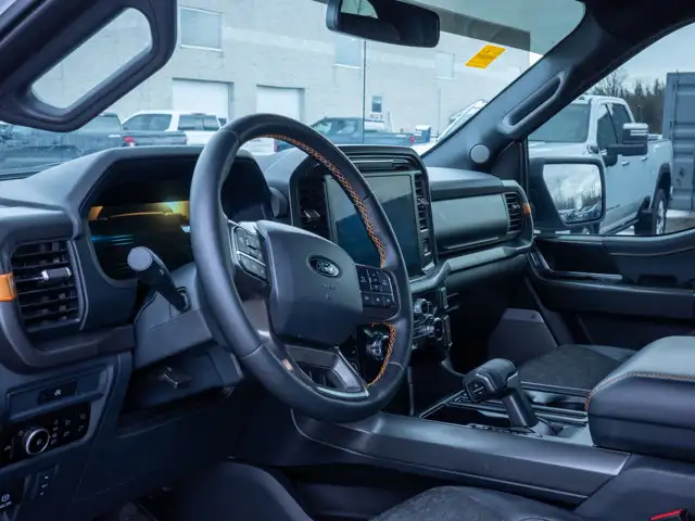 2025 Ford F-150 Tremor - Turn Signal Mirrors | Running Boards - Photo 15