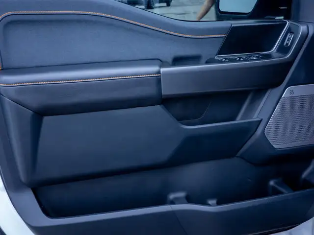 2025 Ford F-150 Tremor - Turn Signal Mirrors | Running Boards - Photo 16