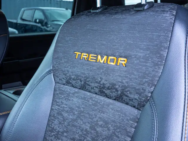 2025 Ford F-150 Tremor - Turn Signal Mirrors | Running Boards - Photo 18