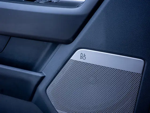 2025 Ford F-150 Tremor - Turn Signal Mirrors | Running Boards - Photo 19