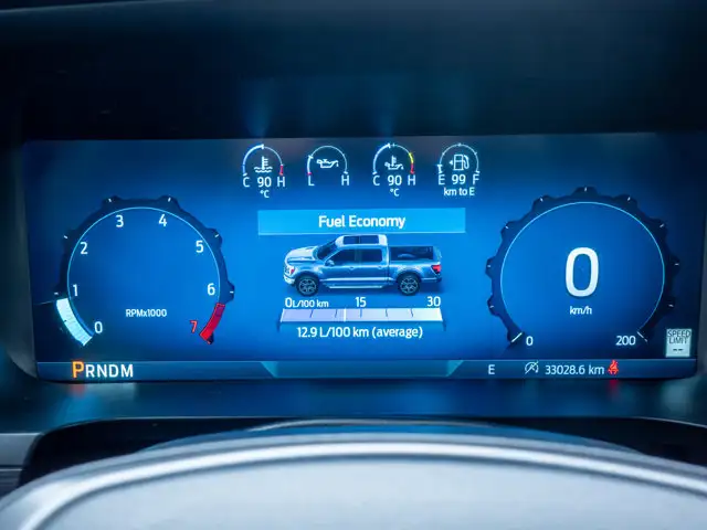 2025 Ford F-150 Tremor - Turn Signal Mirrors | Running Boards - Photo 29