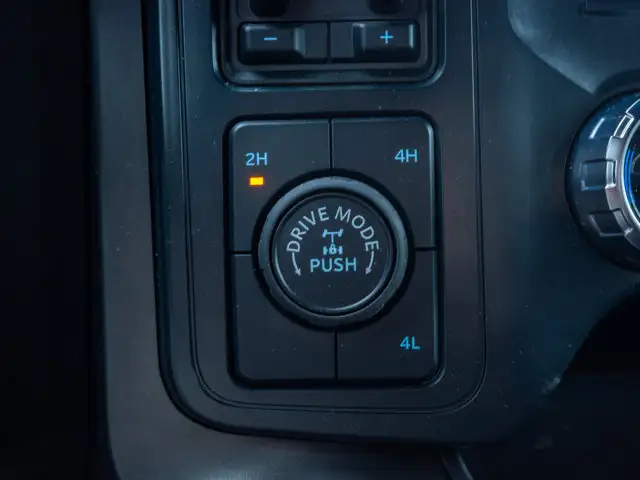 2025 Ford F-150 Tremor - Turn Signal Mirrors | Running Boards - Photo 33