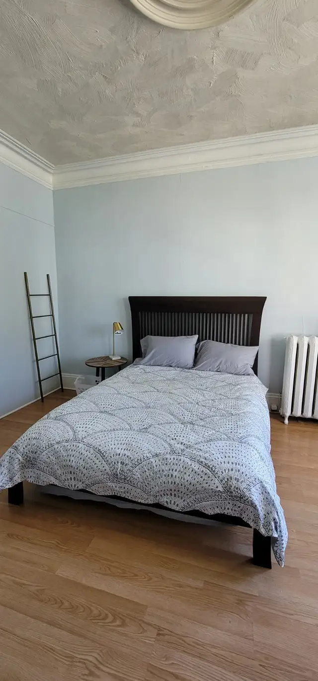 (Chebucto & Windsor) SUNNY, STUDIO APARTMENT Avail. May1st! - Photo 5