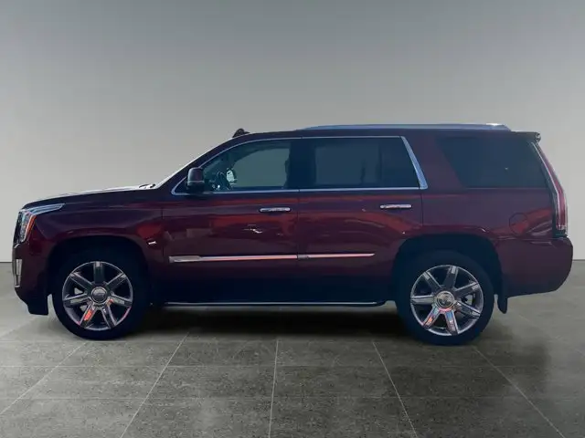 2020 Cadillac Escalade Luxury - Photo 2