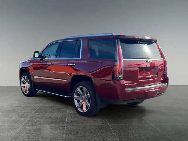 2020 Cadillac Escalade Luxury - Photo 4