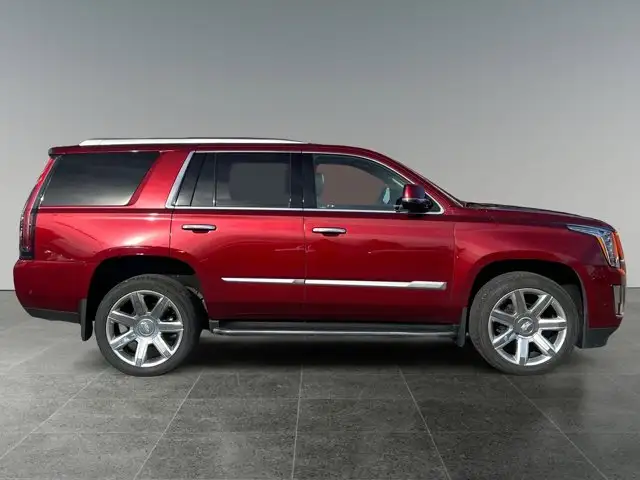2020 Cadillac Escalade Luxury - Photo 8