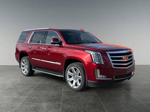 2020 Cadillac Escalade Luxury - Photo 9