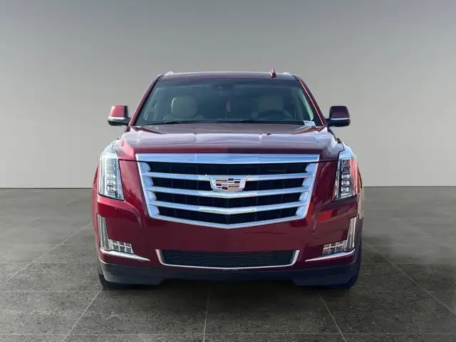 2020 Cadillac Escalade Luxury - Photo 10