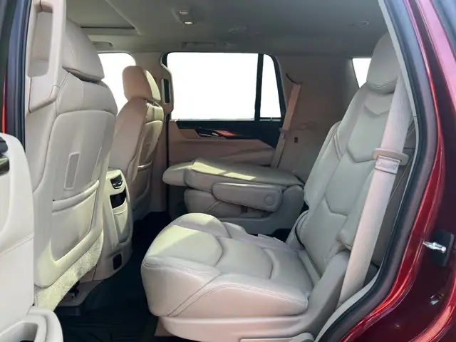 2020 Cadillac Escalade Luxury - Photo 14