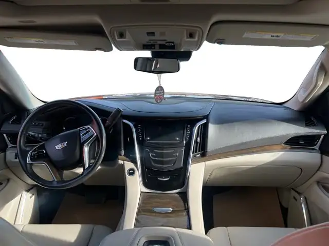 2020 Cadillac Escalade Luxury - Photo 15