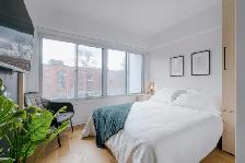 3 ½ entièrement meublé à louer Saint-Jean-Baptiste octobre 2026