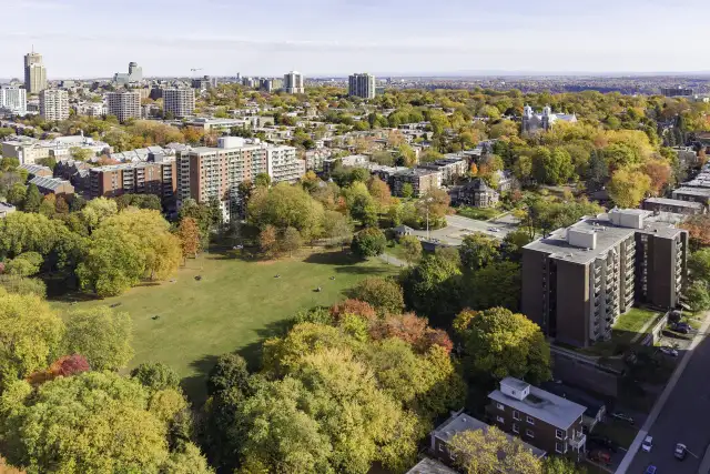 Appartement 4 ½ à louer Montcalm / Saint-Sacrement juillet 2026 - Photo 16