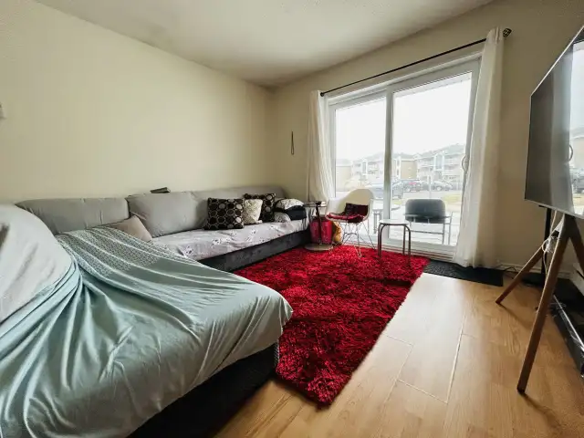 Appartement 3 ½ à louer Sainte-Foy / Sillery mai 2026