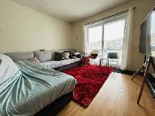 Appartement 3 ½ à louer Sainte-Foy / Sillery mai 2026