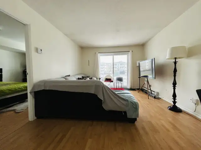 Appartement 3 ½ à louer Sainte-Foy / Sillery mai 2026 - Photo 2