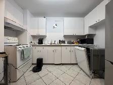 Appartement 3 ½ à louer Sainte-Foy / Sillery juillet 2026