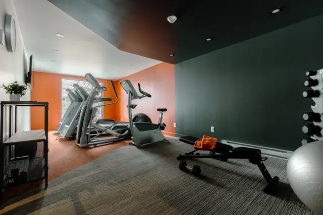 Appartement 3 ½ à louer Sainte-Foy / Sillery juillet 2026 - Photo 5