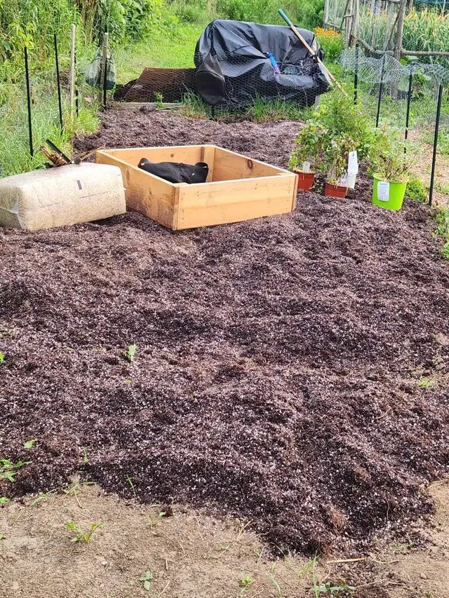 Garden Soil (Triple Mix )