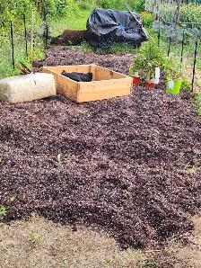 Garden Soil (Triple Mix )