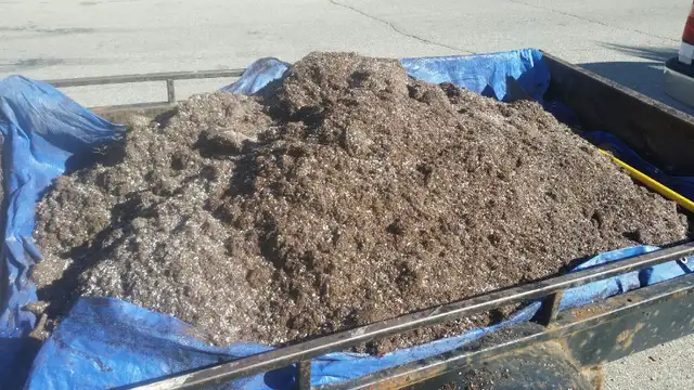 Garden Soil (Triple Mix ) - Photo 3