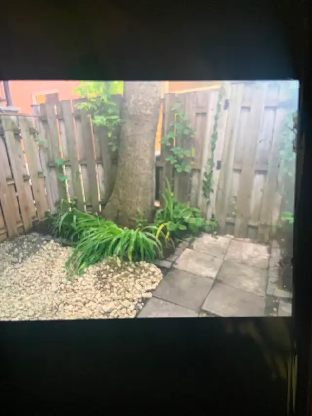 Métro St-Henri:Grand 4 1/2 rdc avec électroménagers,internet - Photo 13