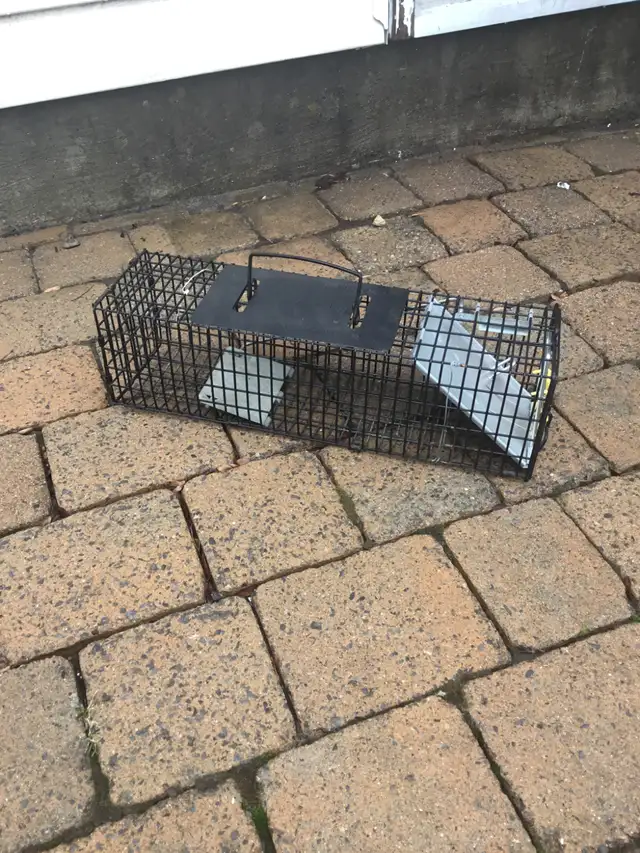 Small Animal Trap $25.00