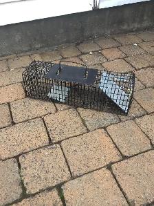 Small Animal Trap $25.00