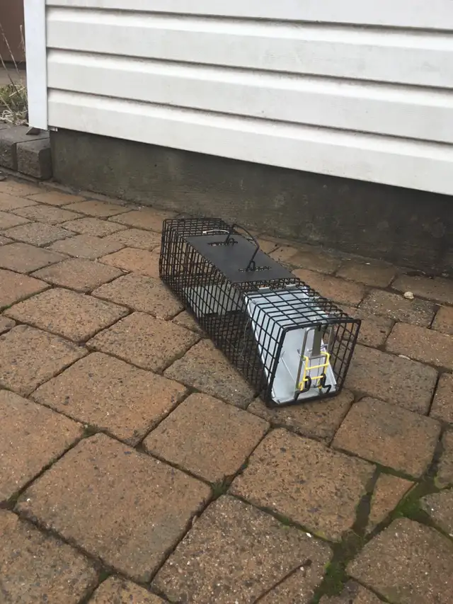 Small Animal Trap $25.00 - Photo 2