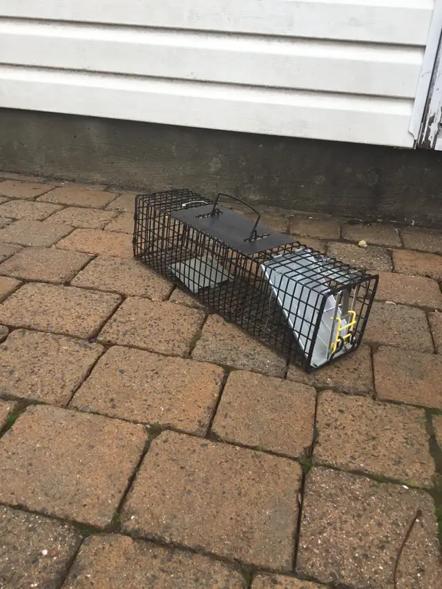 Small Animal Trap $25.00 - Photo 3