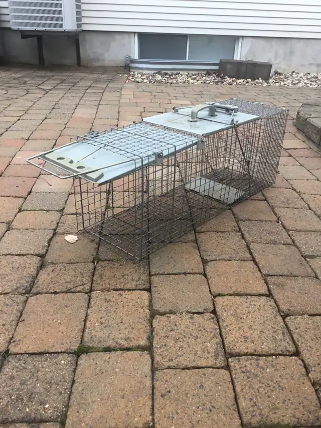 Large Animal Trap $45.00