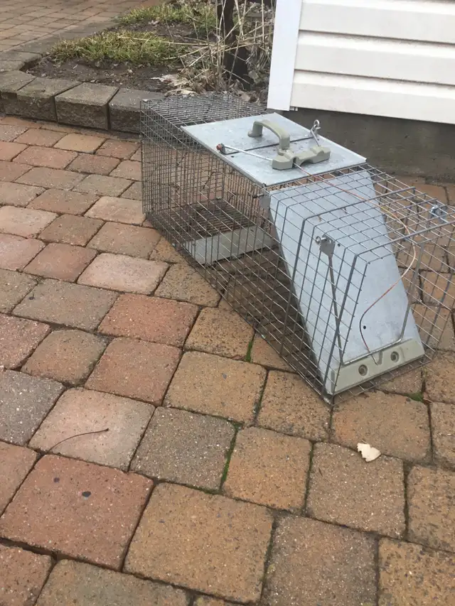 Large Animal Trap $45.00 - Photo 4