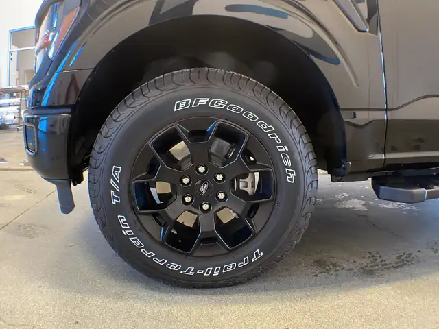 2024 Ford F-150 STX FX4 201A - Photo 9