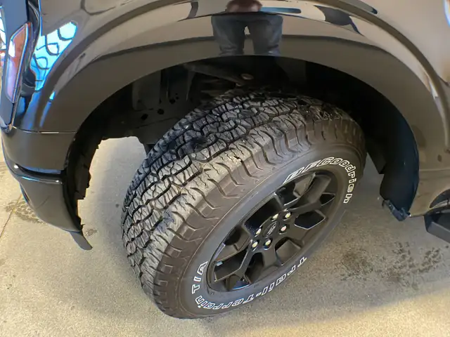 2024 Ford F-150 STX FX4 201A - Photo 10