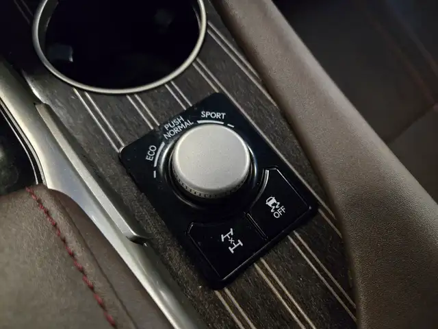 2018 Lexus RX 350 Luxury Package | One Owner | - Photo 25