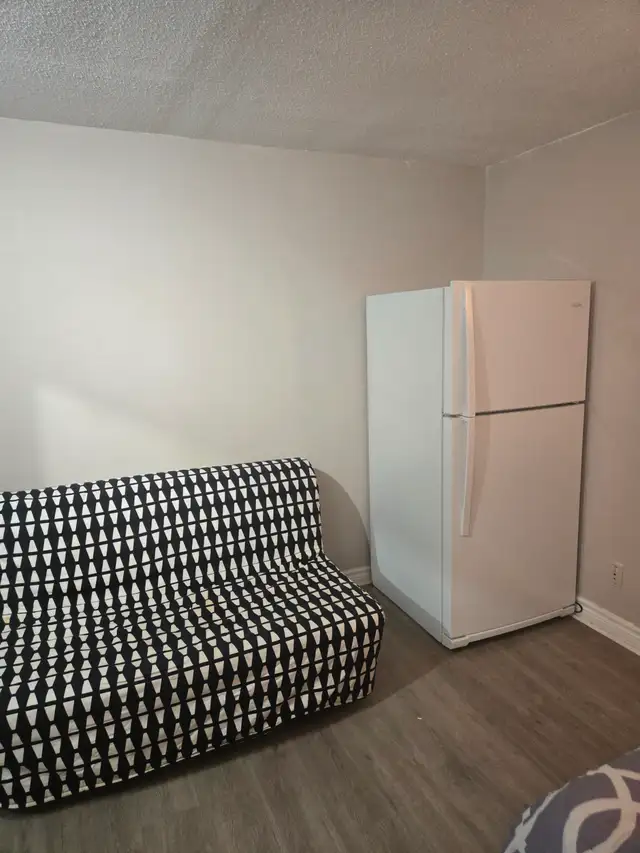 RENT FREE! FULLY FURNISHED, 55' SMART TV, JACUZZI - Photo 5